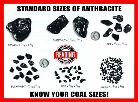 Coal Sizes Ever Wanted To Know What Language To Use When On A Scouting