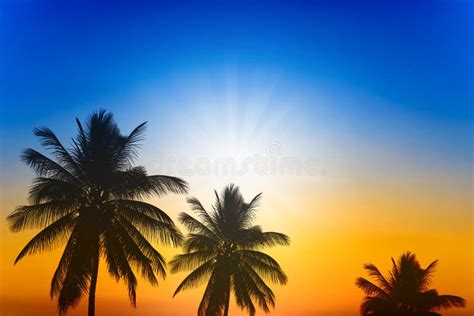 Palm Trees Silhouette On Sunset Stock Image Image Of Evening Bounty