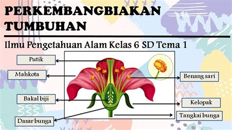 Ipa Kelas Vi Semester Perkembangbiakan Hewan Riset