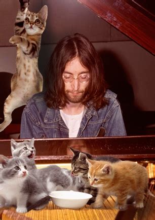 Discover the latest tiktok videos created by johan and his cats @johanandhiscats. Save Our Cats: John Lennon Cat Lover