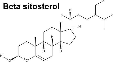 Beta-sitosterol Para Que Serve