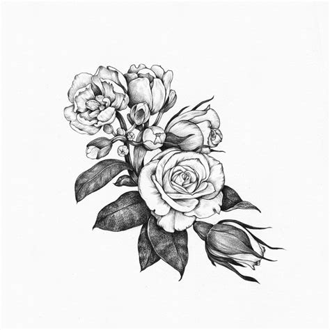 Black And White Rose Drawing Wallpapers Top Free Black And White Rose