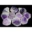 Amethyst Crystal Wholesale Lot  59 Crystals For Sale 60517