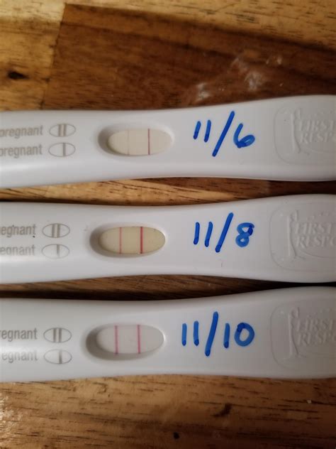 2 Months Missed Period Negative Pregnancy Test Reddit Pregnancy Test