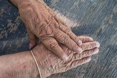 Elderly Old Lady Hands Stock Image Image Of Person Lady 75560527
