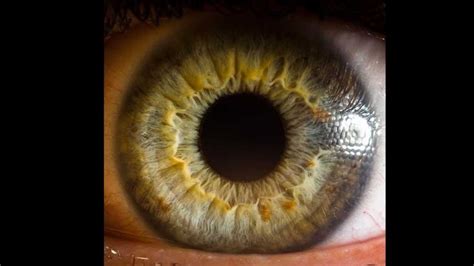Human Eyes - EXTREME eye close-ups - YouTube