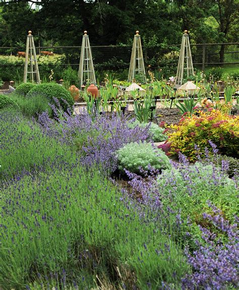 House And Home How To Create A French Country Inspired Garden