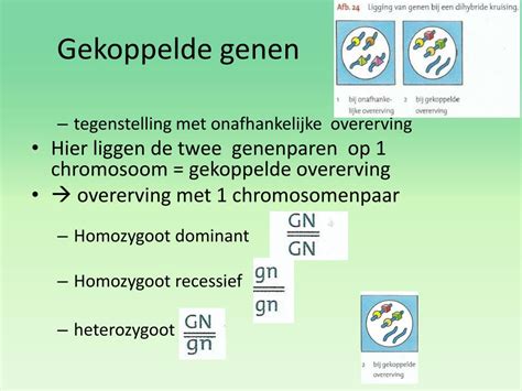 Ppt Gekoppelde Genen Samenwerkende Genen Powerpoint Presentation