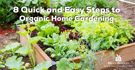How To Get Started With A Quick And Easy Organic Garden