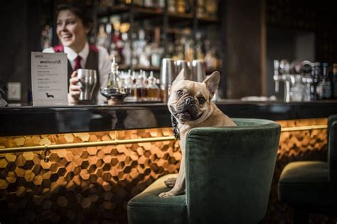 Bottoms Pup A Cocktail Bar Especially For Dogs Is Coming To London