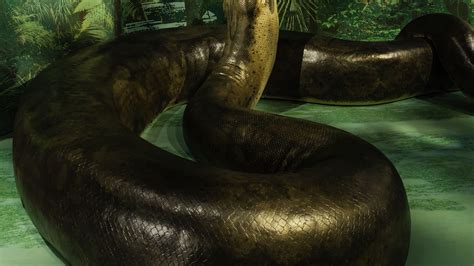 Worlds Largest Snake At Natural History Museum