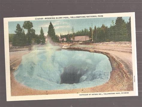 Vtg Haynes Linen Yellowstone Wy Postcard Unused 4a H281 Morning Glory Pool Yellowstone