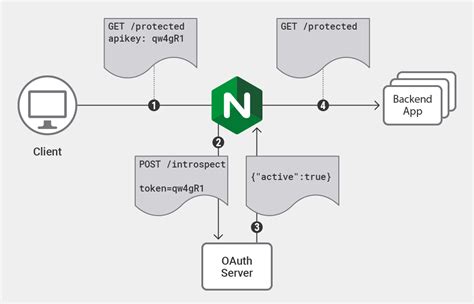 GitHub JulianHBuecher Authentication Reverse Proxy Project For