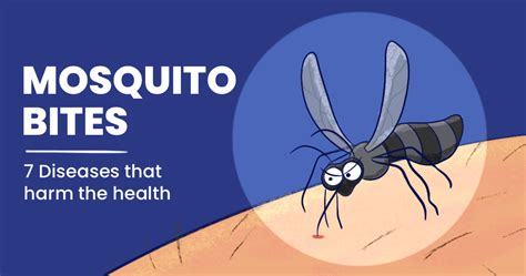 Diseases Caused By Mosquito Bites