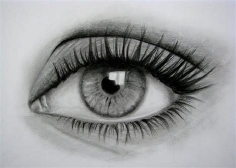 Dibujos a lapiz faciles y bonitos. Las Mejores Aplicaciones para Aprender a Dibujar