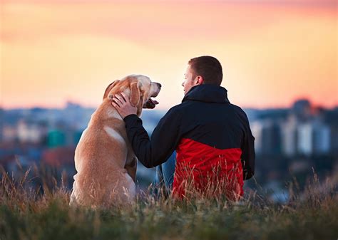 The Personalities Of Animal Owners Are Reflected In Their Pets •