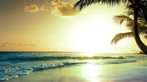 Beach Sun Wallpaper Tropical Beach 5k 4k Wallpaper Paradise