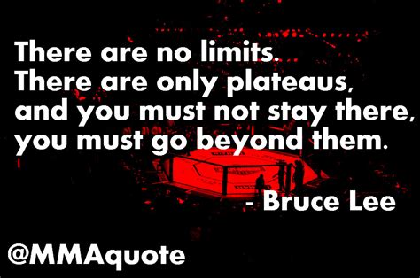 Explore 1000 fighter quotes by authors including yungblud, conor mcgregor, and derrick lewis at brainyquote has been providing inspirational quotes since 2001 to our worldwide community. Best 30 Fighter Motivational Quotes - Home, Family, Style and Art Ideas