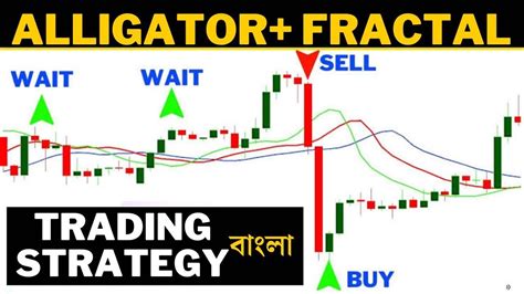 Alligator Fractal Indicator Trading Strategy In Bangla Youtube