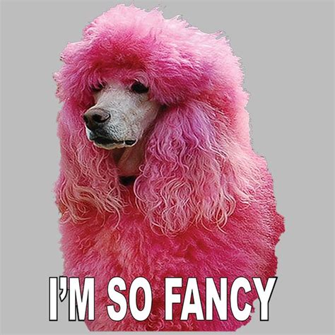Pin By Flying Fish On Poodleparty Im So Fancy Pink Poodle Poodle