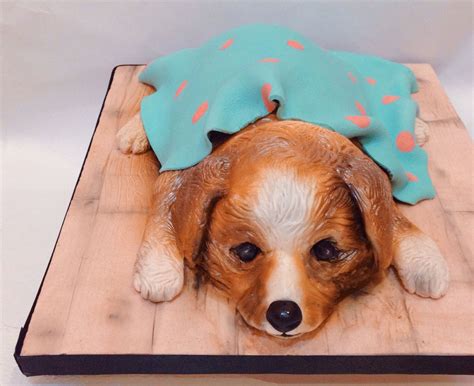 Corgi Puppy Cake Animal Cakes Corgi Puppy Puppy Cake