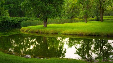 Летняя природа в парке с рекой и деревьями Травяной газон Обои на рабочий стол