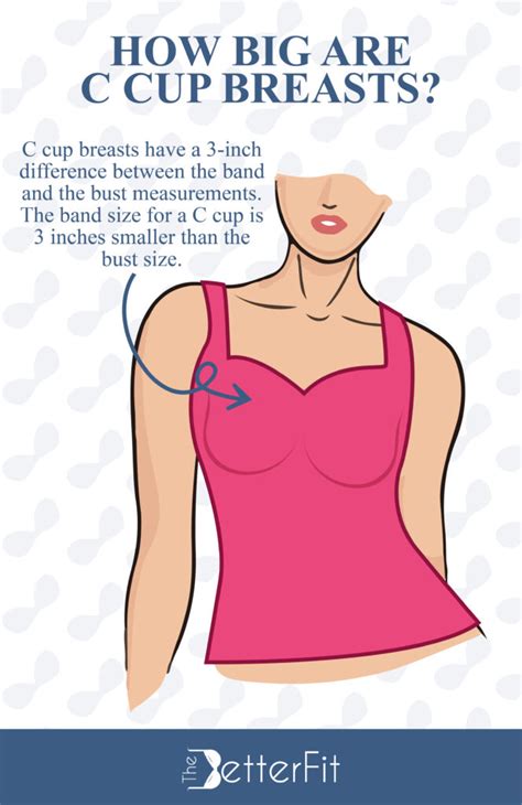 How Big Are C Cup Breasts Thebetterfit