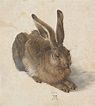 Albrecht Dürer « The Albertina Museum Vienna