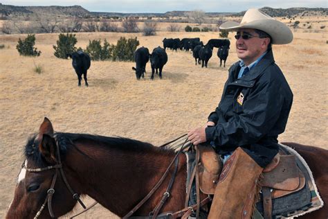 For A Cattle Rancher A Legacy On The Range The New York Times