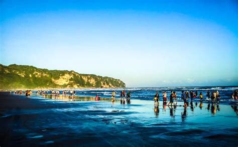 80 Tempat Wisata Di Jogja Pantai Parangtritis