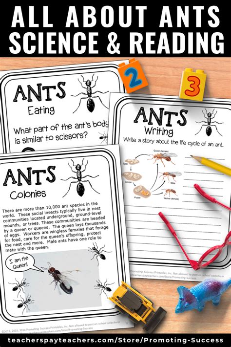 Ants Insects Bugs Camping Theme Activities Summer School Science