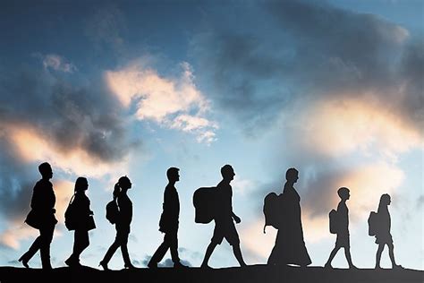 The Different Types Of Human Migration