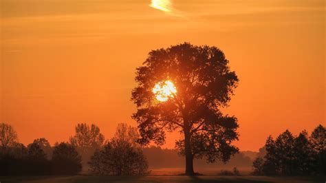 Fotos Gratis Paisaje árbol Naturaleza Horizonte Nube Amanecer