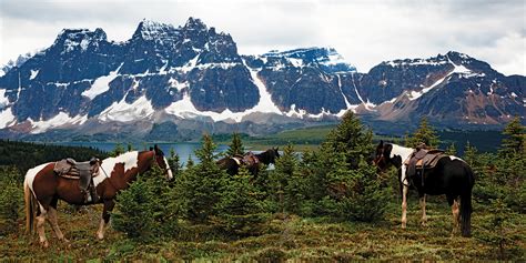 You can search by ingredient, type of meal, or by the cooking method. Top 10 camping spots in Canada