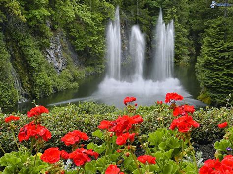 Beautiful Nature Images Waterfall With Flowers Beautiful Nature And Imags
