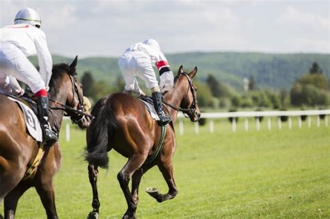 The cheltenham festival is the pinnacle of national hunt jumps racing and the one week of the year that all horseracing fans look forward to. Temukan Odds Chase RSA Terbaru untuk Cheltenham 2021: Tip ...