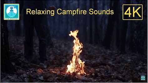 🔴 Relaxing Campfire 4k Sound In The Forest At Night Ambient Campfire