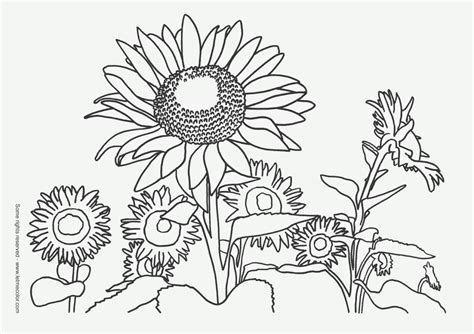 Click on winter coloring pictures below for the printable coloring page. Printable Nature Coloring Pages For Kids Coloring Page For ...