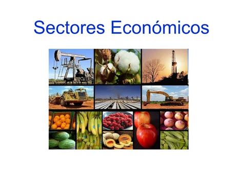 Sectores Económicos Primario Secundario Y Terciario Ppt