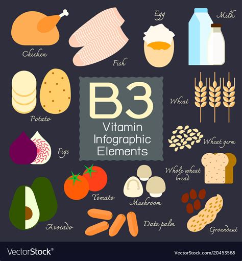 Vitamin B3 Infographic Element Royalty Free Vector Image