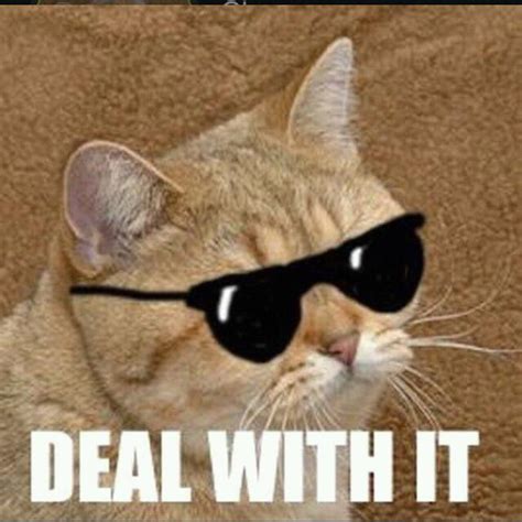 Deal With It Meme By Arthurkaly Memedroid