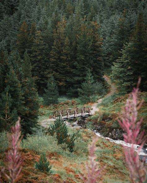 Vote The Galloway Forest Park For Scotlands Most Beautiful Place Awards