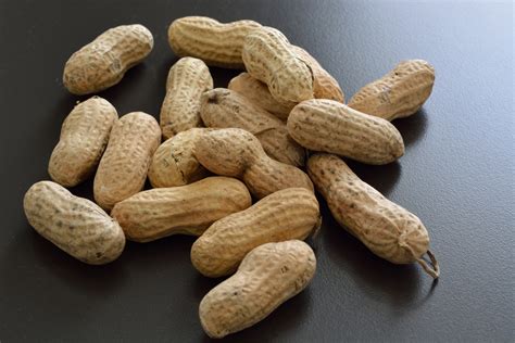 Shelled Peanuts Free Stock Photo Public Domain Pictures