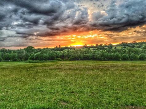 Weald Country Park Day Out With The Kids