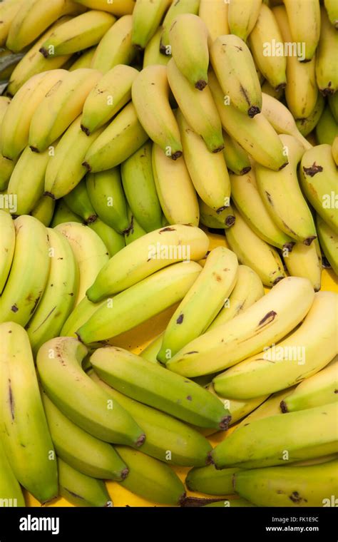 Banana Hi Res Stock Photography And Images Alamy