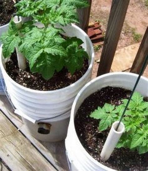 Convenient Self Watering Planter In 9 Steps