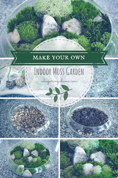Whispering Whims Diy Moss Garden Build Your Own Personal Indoor