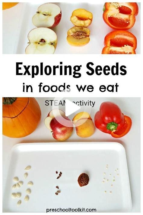 Exploring Seeds With A Simple Science Activity For Preschoolers