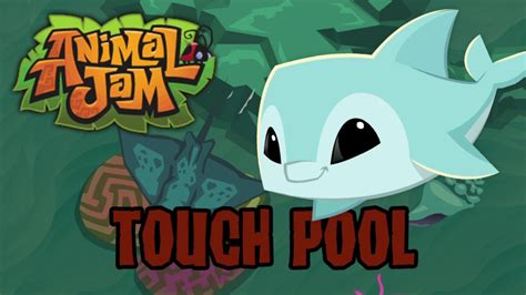 Animal Jam Ost Touch Pool Youtube