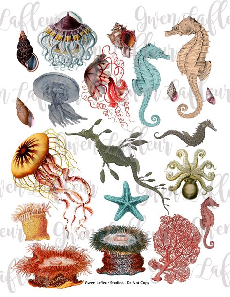 Stupendous Sea Life Downloadable Collage Cut Outs Gwen